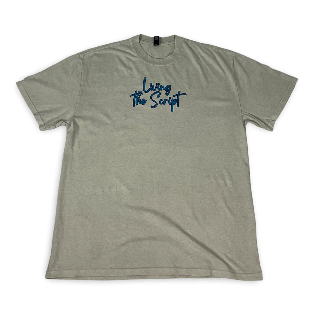 Living the Script Oversized faded t-shirt