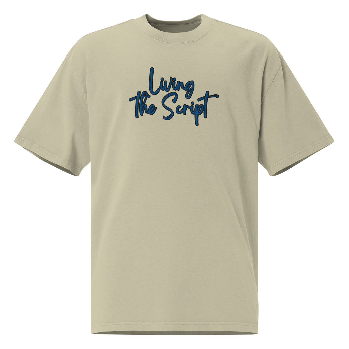 Living the Script Oversized faded t-shirt